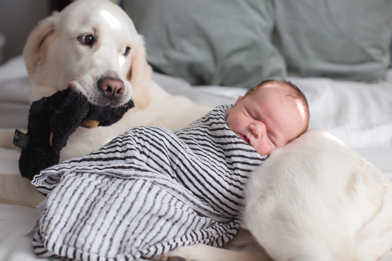 Newborn Ellis-65