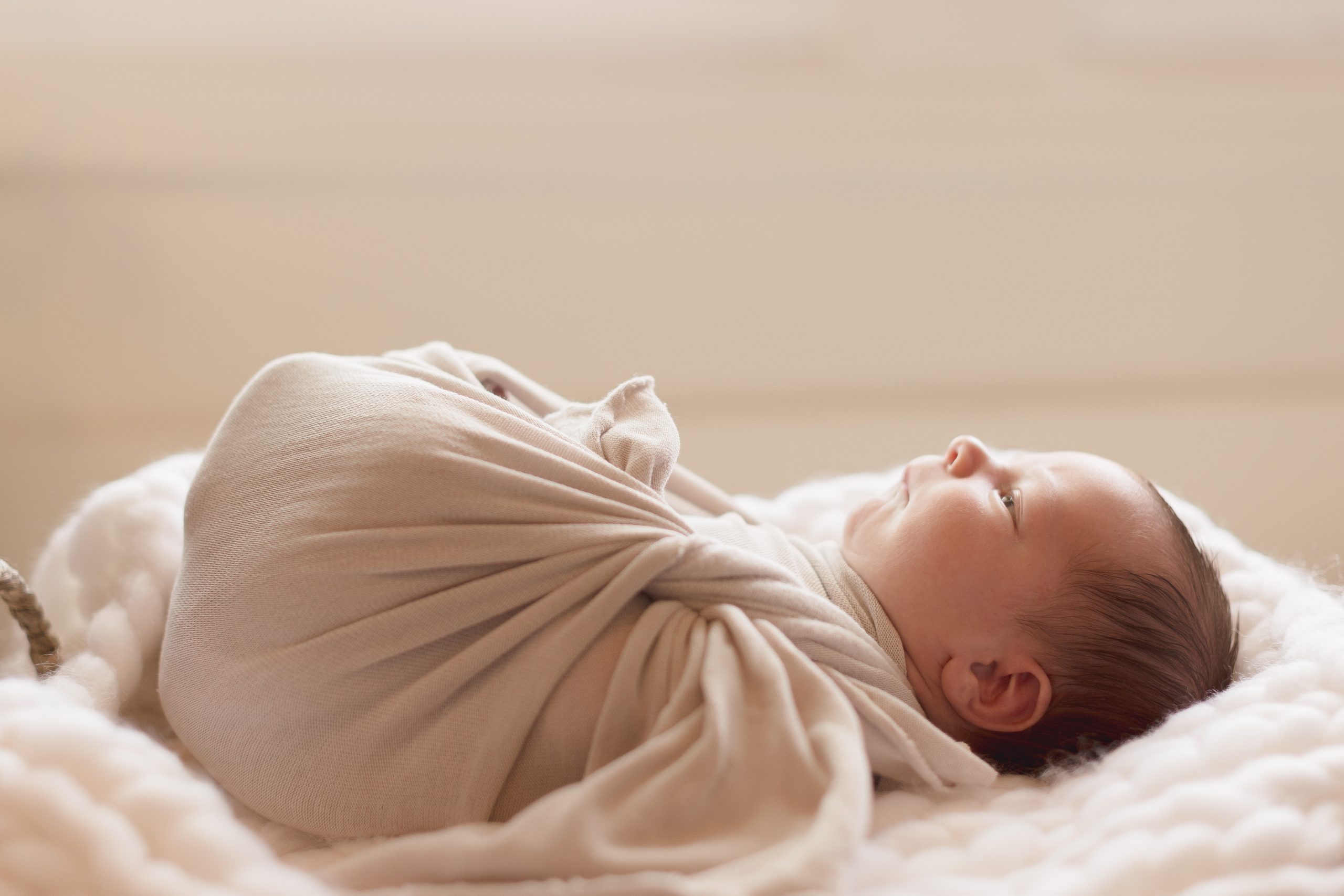 Newborn Boy Session